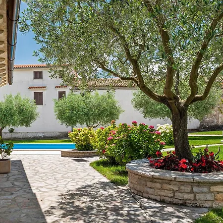 Istranka In Frkeci *